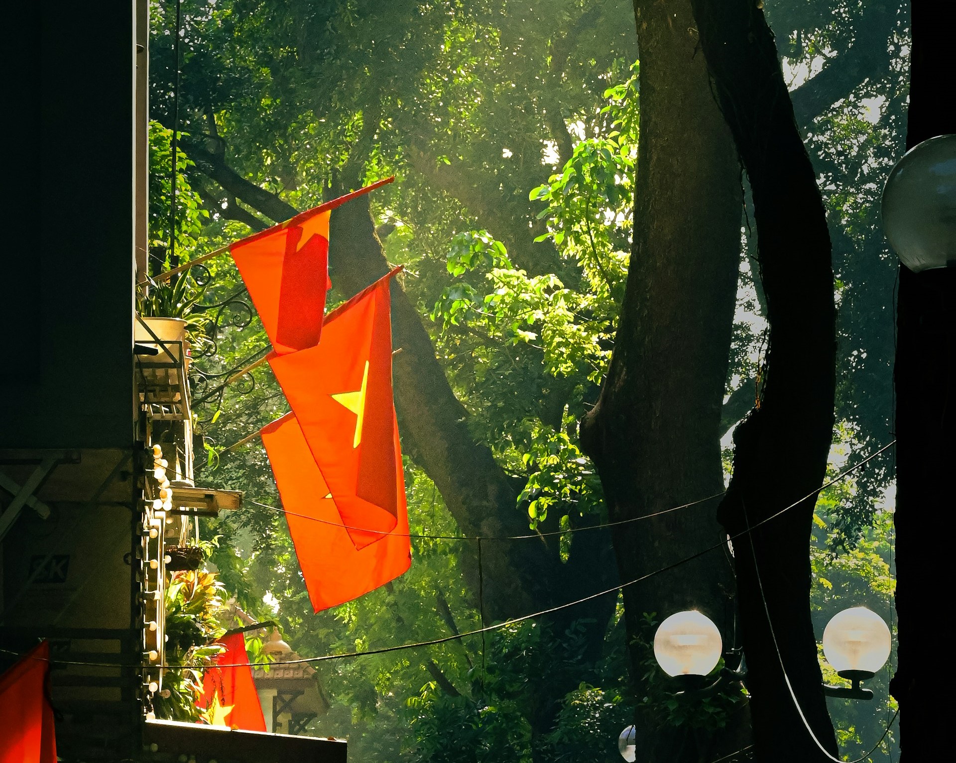 Ảnh: Quang Huy Nguyễn - Unsplash